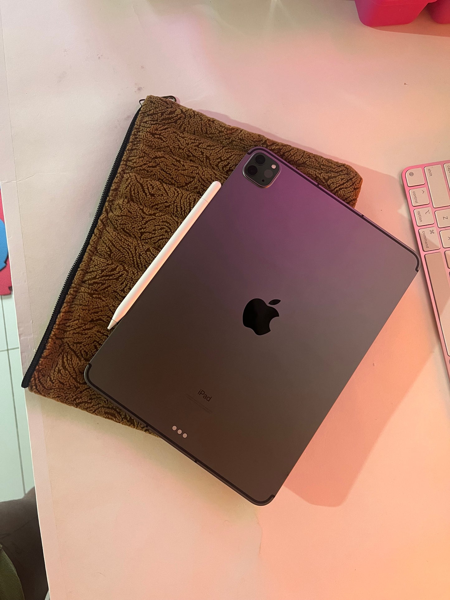 SANKOFA IPAD POUCH: Brown Reggae Edition